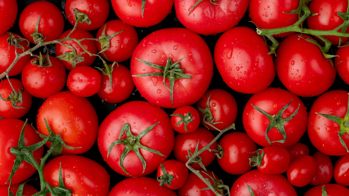 Tomoto price rise in Punjab