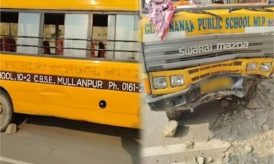 School Bus hits tree