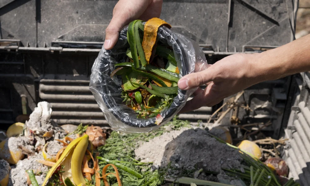 Food wastage in india