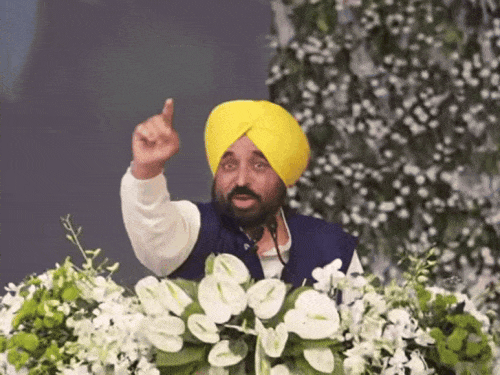 श्री आनंदपुर साहिब में सीएम भगवंत मान ने यूनिवर्सिटी बनाने का ऐलान किया था। फाइल फोटो