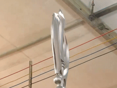 गणतंत्र दिवस समारोह में दिल्ली में पंजाब की झांकी दिखाई देगी।